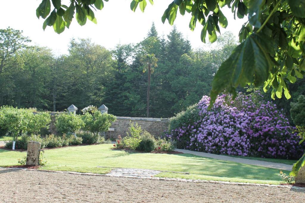 Bed and Breakfast Manoir De Kerangosquer Pont-Aven Zimmer foto